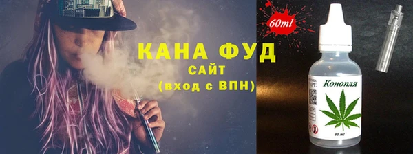 индика Козловка